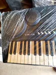 Casio CTK-731 Electronic Keyboard - 2