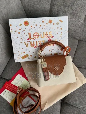 Louis Vuitton Luxury Bag