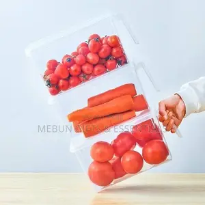 Plastic Fridge Organizer and Storage Box