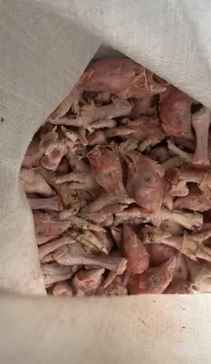 Fresh Chicken Heads and Legs for Dog Food