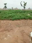 2 Plot na Ƙasa don Siyarwa, Yelwa Maraba - 1