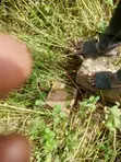 2 Plot na Ƙasa don Siyarwa, Yelwa Maraba - 3