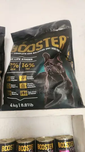 Booster Puppy Abinci Busasshe 4kg