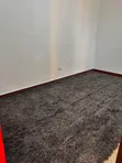 Foreign Wall-to-Wall Carpet Rug - Brand New - 1