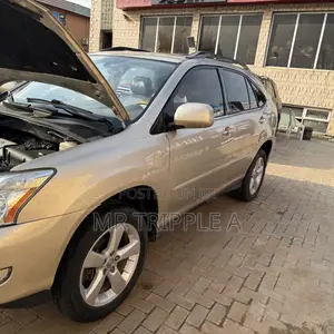 Lexus RX 330 2006 Zinari