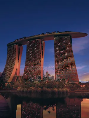 Singapore Visa Application Assistance