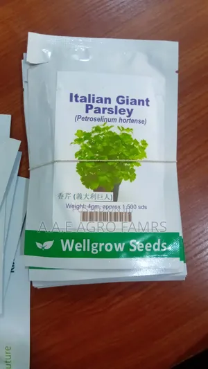 Italian Giant Parsley Seeds - Wellgrow Seeds