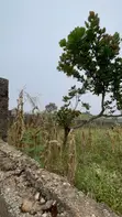 Buildable 850sqm Plot of Land in Mpape (Maitama Extension), Abuja - 3