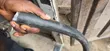 Coleman Cable 50mm 4-Core - 2