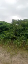 12.5 Acres Undeveloped Land for Sale, Oko Abe Town - 3