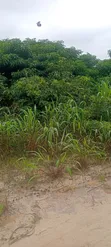 12.5 Acres Undeveloped Land for Sale, Oko Abe Town - 5