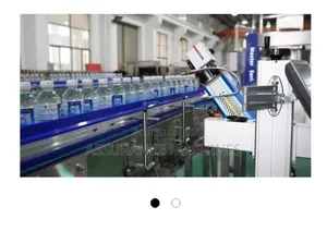 Automatic Laser Coding Machine