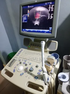 GE Logiq P5 Ultrasound Machine tare da Probes