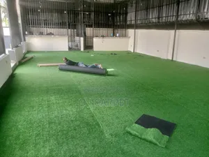 Sabo Sabon Zakarun Ciyawa (Grass Carpet)