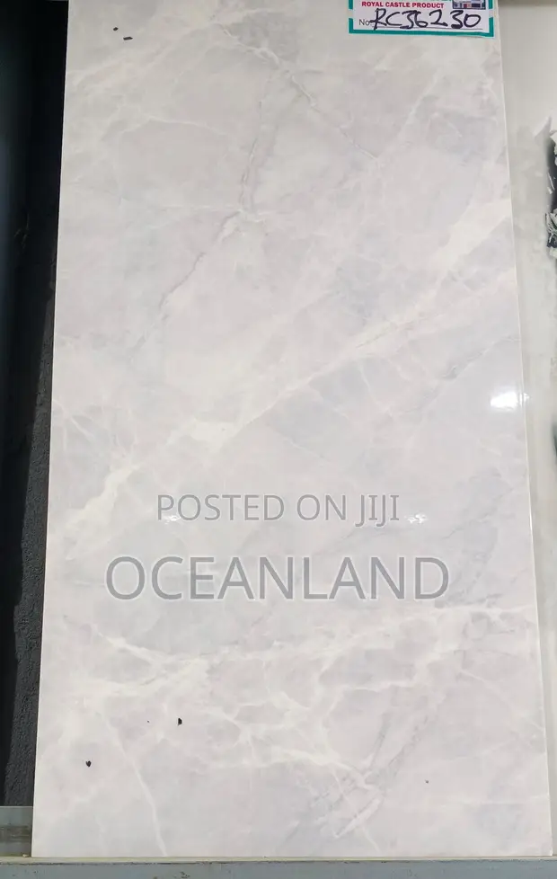 Polished Wall Tiles 30x60cm - 1