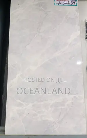 Polished Wall Tiles 30x60cm