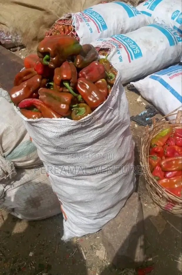 Tomato, Pepper, Onion Stew Combo - 1