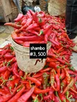 Tomato, Pepper, Onion Stew Combo - 5