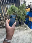 Sabon Apple iPhone 12 Pro Max 128GB Blue - 3