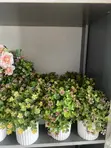 Artificial Cup Flowers - 5