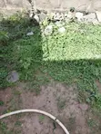 6000sqm Plot for Sale, Alausa Ikeja CBD, Lagos - 1
