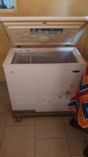 Thermocool 200L Deep Freezer