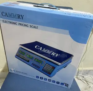 Brand New 40kg Electronic Pricing Scale