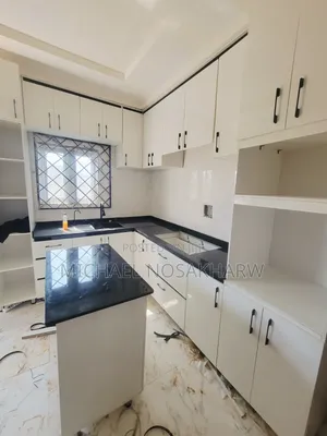 Brand New Home Interiors Kitchen Cabinets