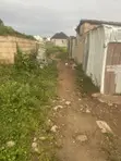 Filin Dadi A Sabuwar Karu - 1