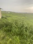 Filin Dadi A Sabuwar Karu - 2