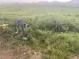 Filin Dadi A Sabuwar Karu - 5