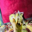 Kek ɗin Couture - 2