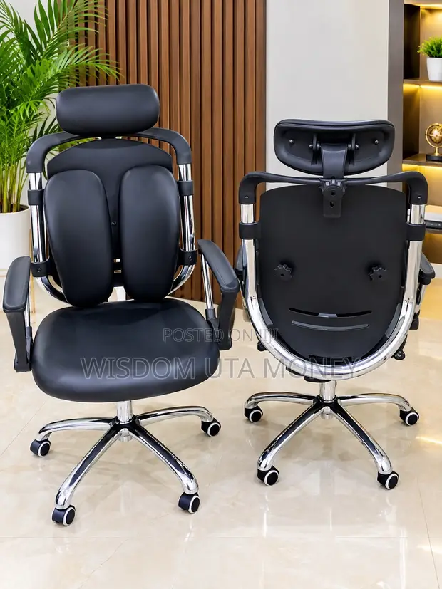 Executive High-Back Ergonomic Office Chair - 1