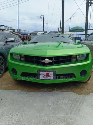 Chevrolet Camaro 2010 Grey