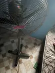 Ox Standing Fan 18" - 2