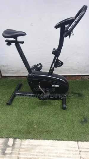 Bodygym Xbike Exercise Bike (Used)