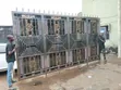 Golden Pipe 304 With Installation - 2