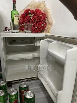LG Bedside Refrigerator