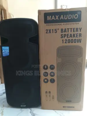 Maxi Audio Double 15" Rechargeable Speaker