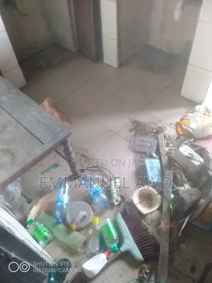 Sashin Tsabtace Mai Girma don Shiga/Fita - Lagos Island