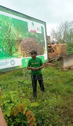 1 Acre Oil Palm Land for Sale in Odeda, Ogun State
