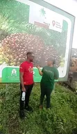 1 Acre Oil Palm Land for Sale in Odeda, Ogun State - 2