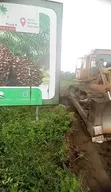 1 Acre Oil Palm Land for Sale in Odeda, Ogun State - 3