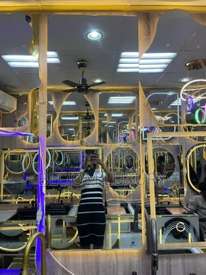 Home Interiors Long Dressing LED Mirror