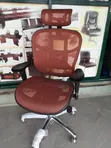Ergonomic Ofishin Kursiyoyi - 2