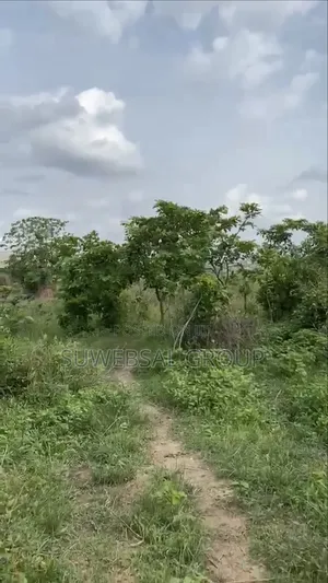 Filin Zama na Sayarwa, 730sqm, Ibadan