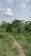 Filin Zama na Sayarwa, 730sqm, Ibadan - 1