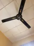 Orl Ceiling Fan - 1