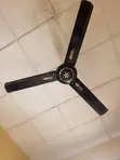 Orl Ceiling Fan - 3