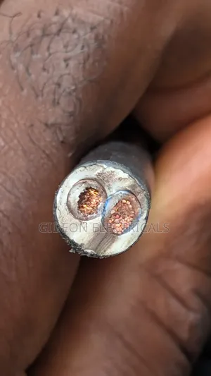 6.0mm 2-Core Flexible Wire